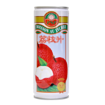D19-2 JUS DELYCHEES 33CL