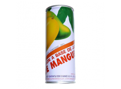 D19-1 JUS DE MANGUE 33CL