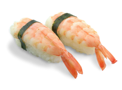 S5  crevettes